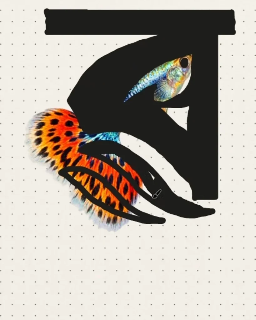 Guppy traced into the Bangla letter ব