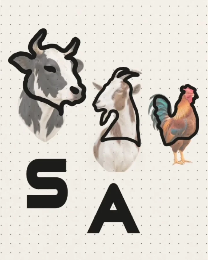 Cow, goat and hen traced into the letters S, A and F